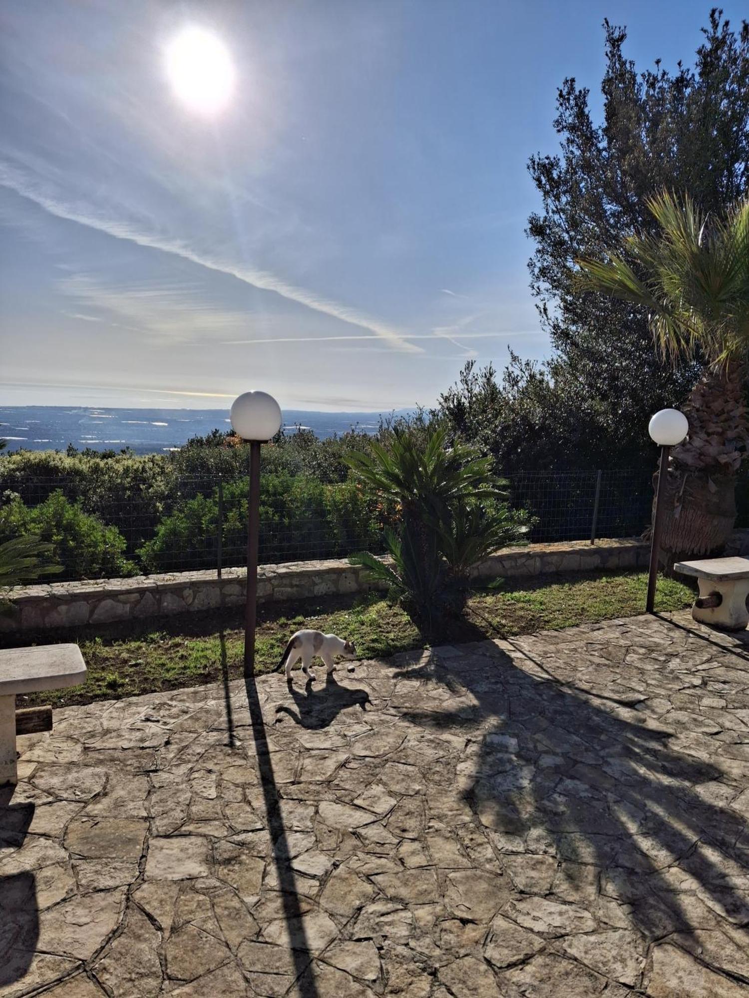 Villa Maremonti Монополи Экстерьер фото